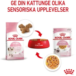 Royal Canin Kitten Jelly 12x85 g