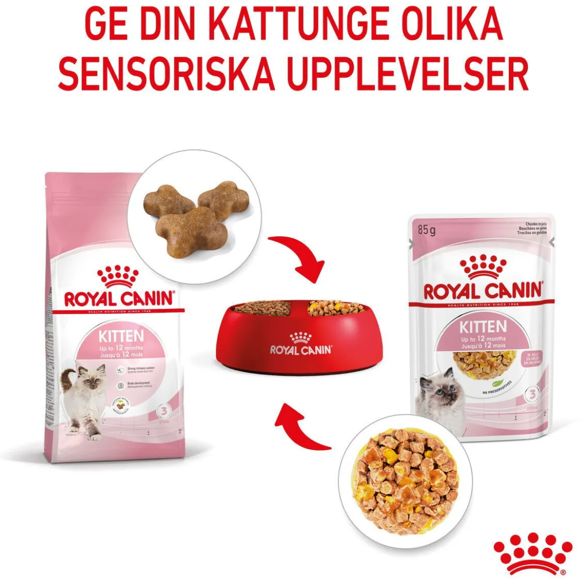 Royal Canin Kitten Jelly 12x85 g
