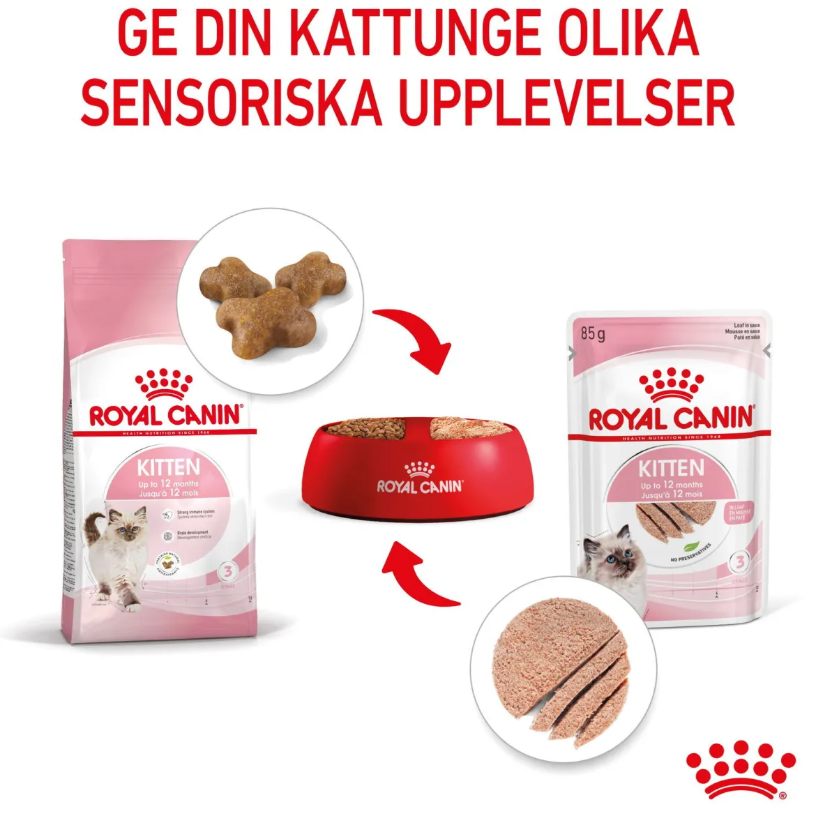 Royal Canin Kitten Loaf 12x85 g