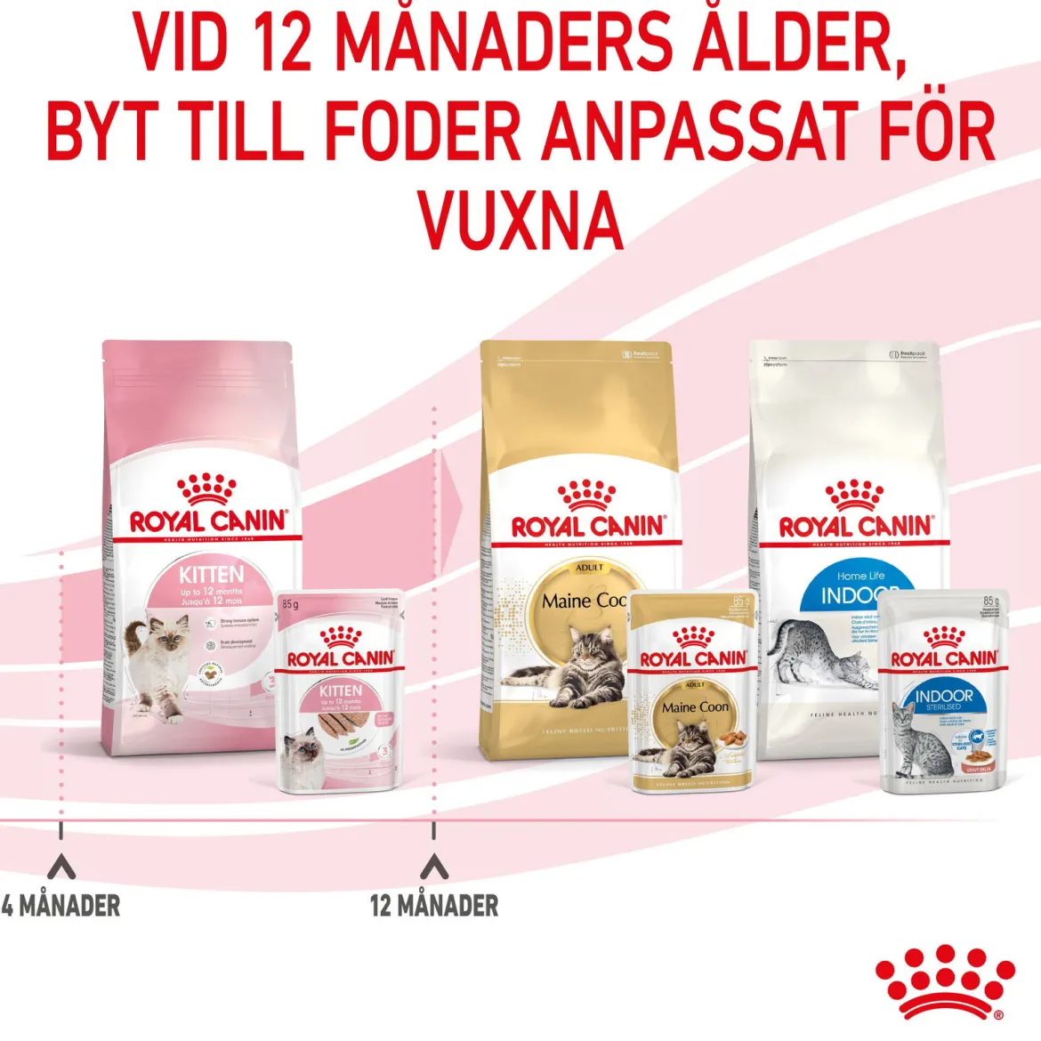 Royal Canin Kitten Loaf 12x85 g