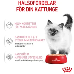 Royal Canin Kitten Loaf 12x85 g