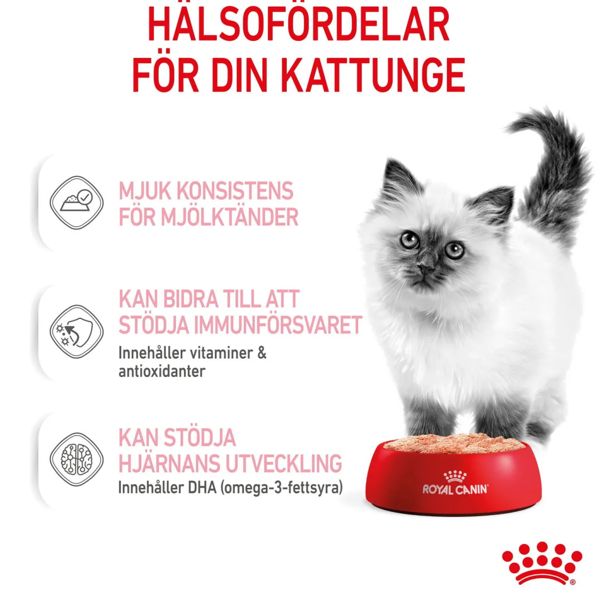 Royal Canin Kitten Loaf 12x85 g