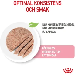 Royal Canin Kitten Loaf 12x85 g