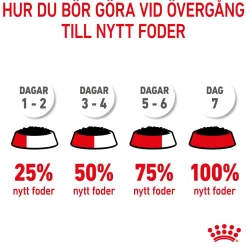 Royal Canin Kitten Loaf 12x85 g
