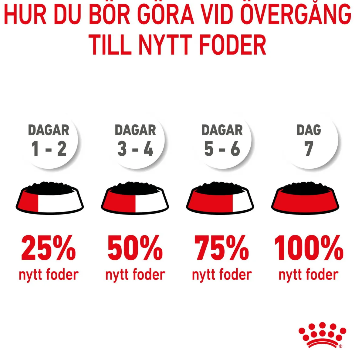 Royal Canin Kitten Loaf 12x85 g