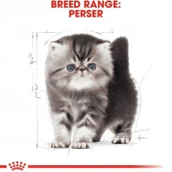 Royal Canin Kitten Persian