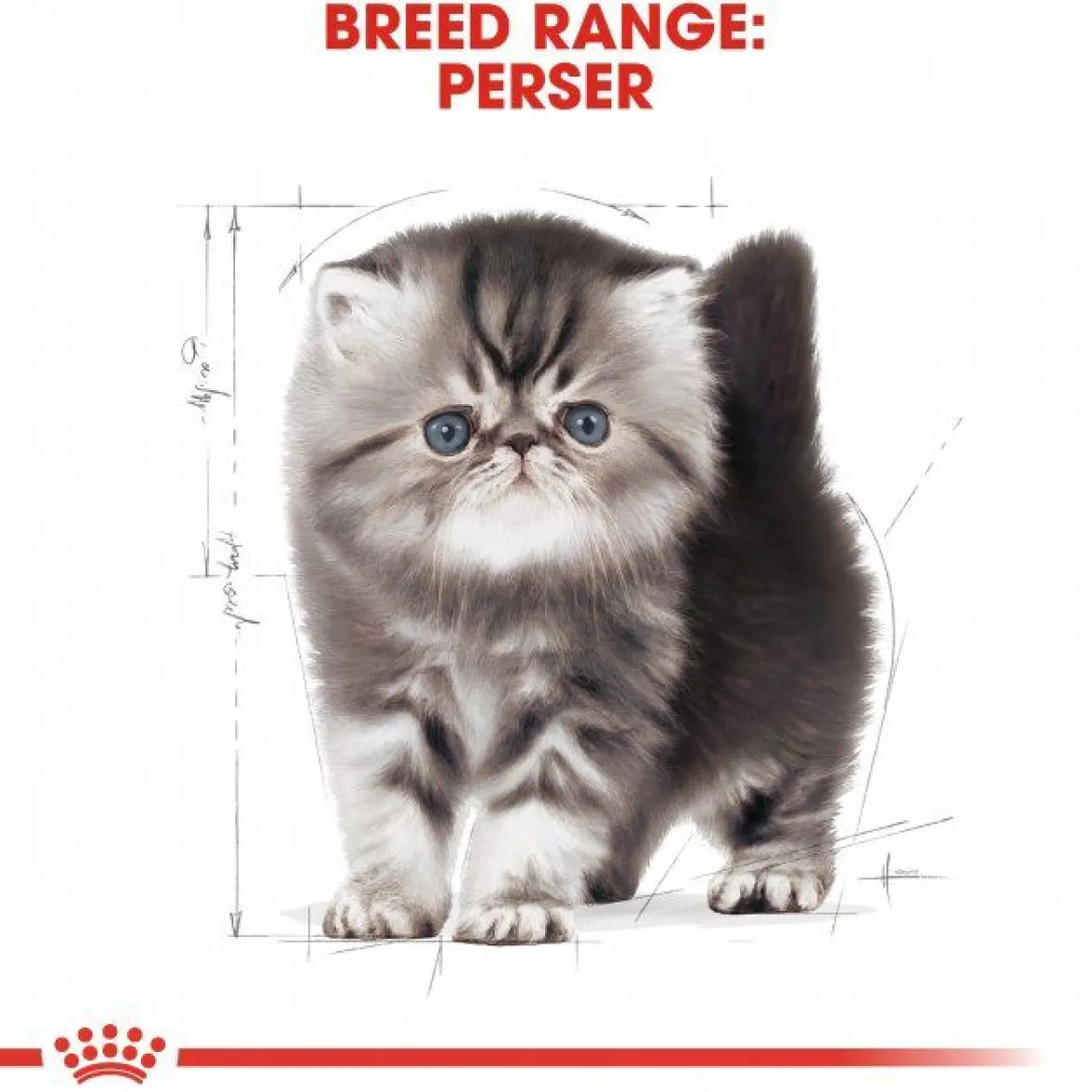 Royal Canin Kitten Persian