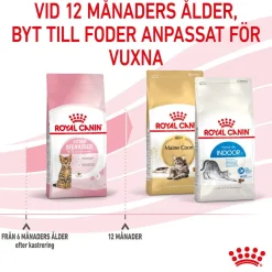Royal Canin Kitten Sterilised