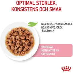 Royal Canin Kitten Sterilised Gravy 12x85 g