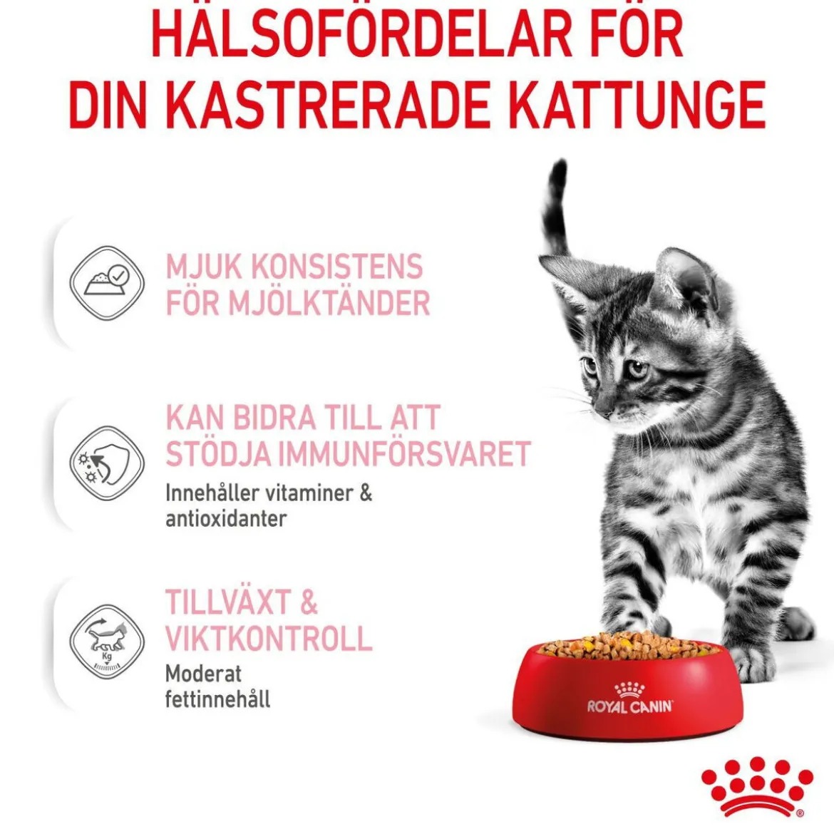 Royal Canin Kitten Sterilised Jelly 12x85 g