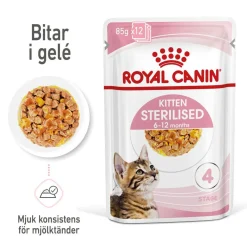 Royal Canin Kitten Sterilised Jelly 12x85 g