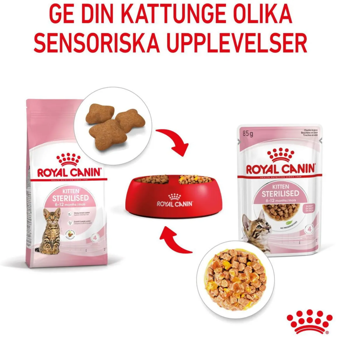 Royal Canin Kitten Sterilised Jelly 12x85 g