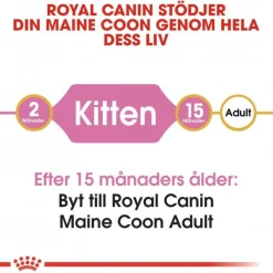Royal Canin Maine Coon Kitten