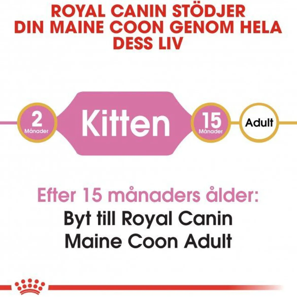 Royal Canin Maine Coon Kitten