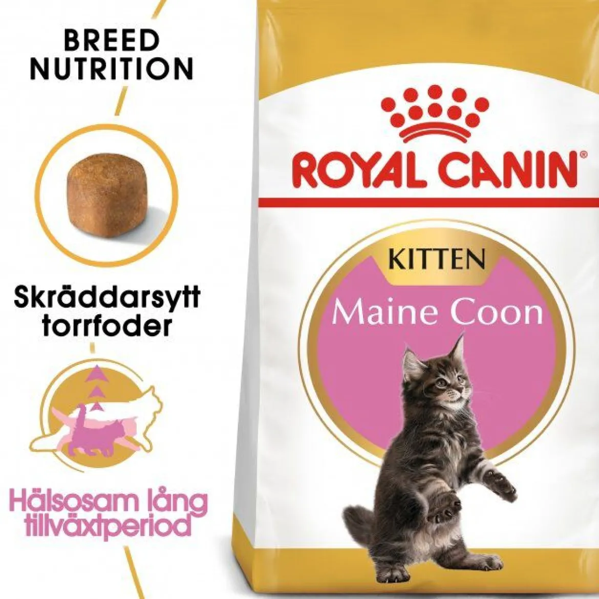 Royal Canin Maine Coon Kitten
