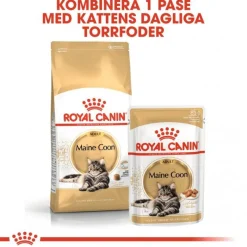 Royal Canin Maine Coon Wet 12x85g