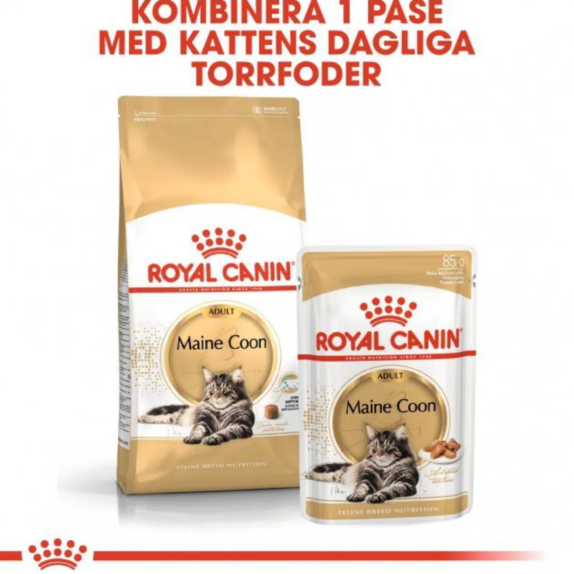 Royal Canin Maine Coon Wet 12x85g