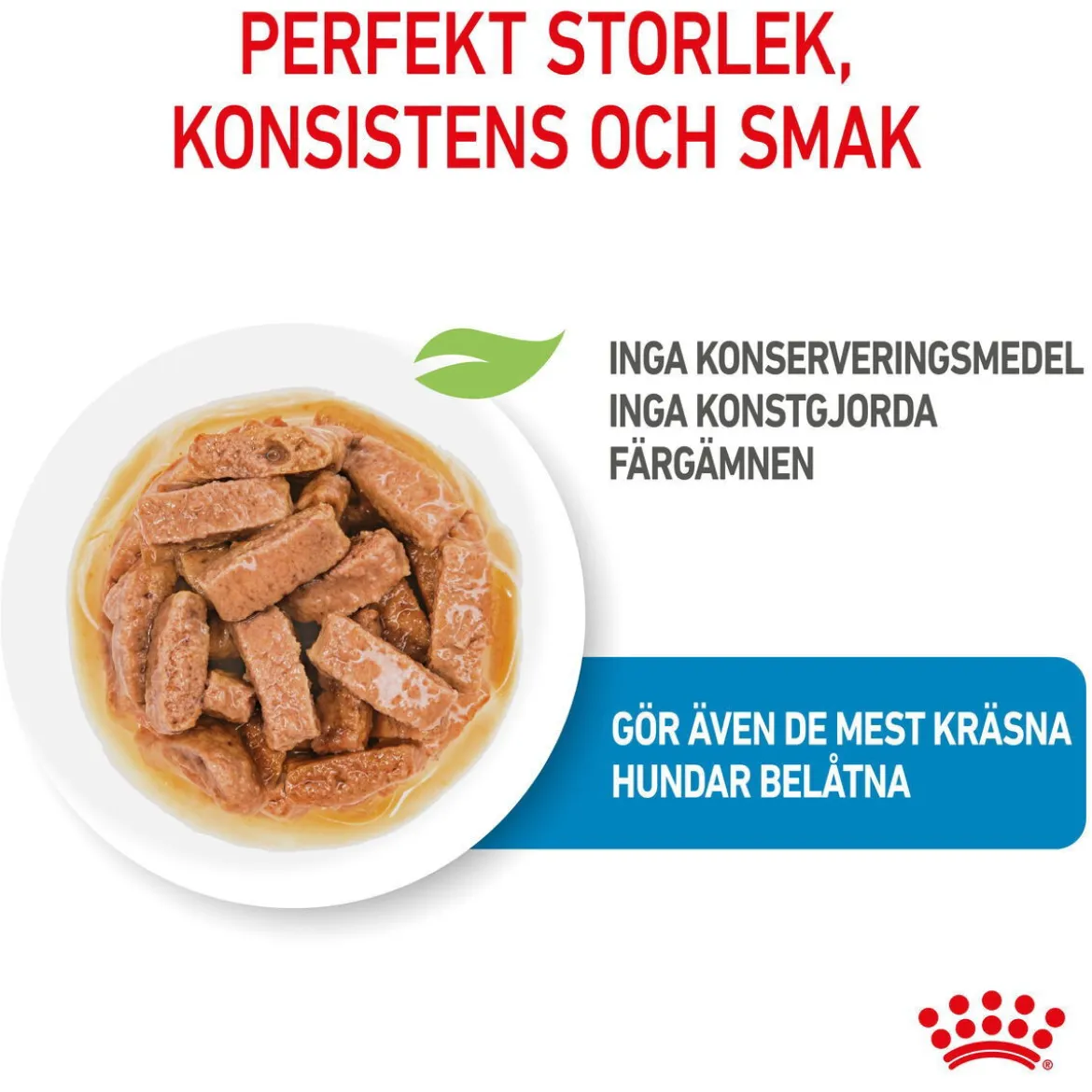 Royal Canin Maxi Puppy Våtfoder (10x140g)