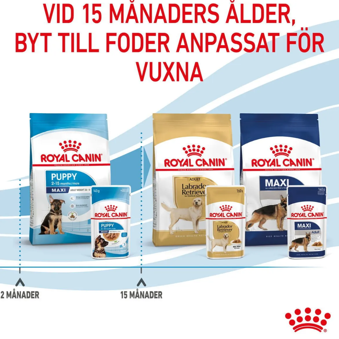 Royal Canin Maxi Puppy Våtfoder (10x140g)