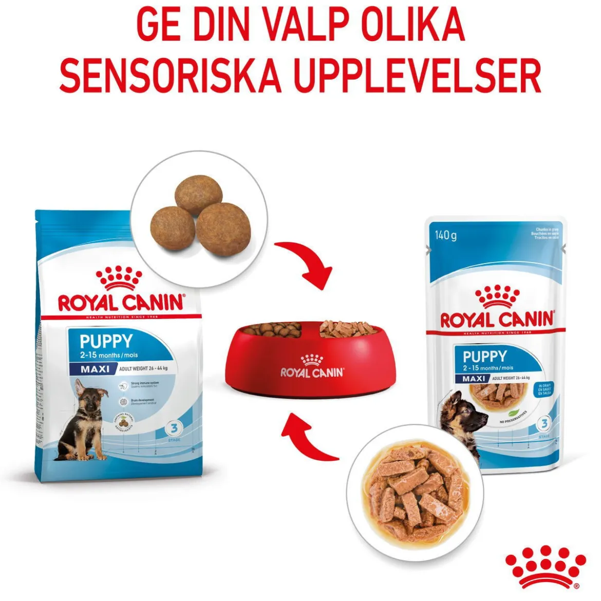 Royal Canin Maxi Puppy Våtfoder (10x140g)