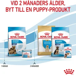 Royal Canin Maxi Starter