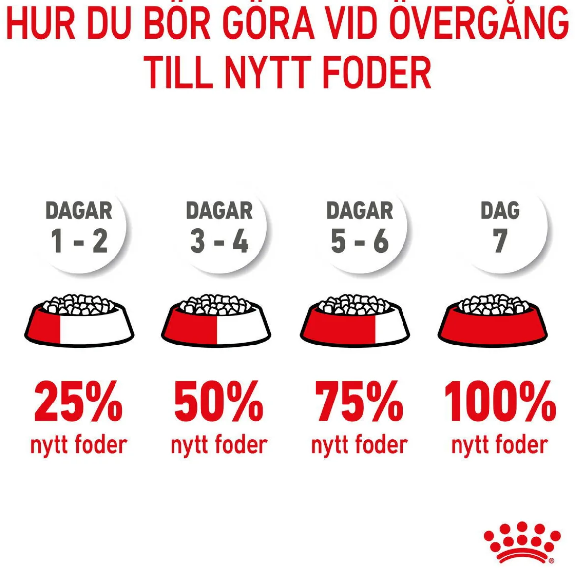 Royal Canin Maxi Starter