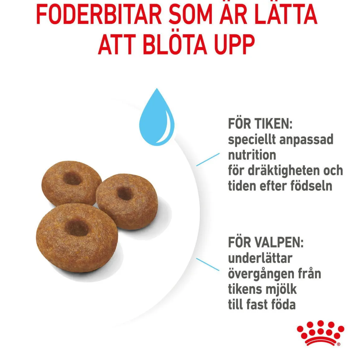 Royal Canin Maxi Starter