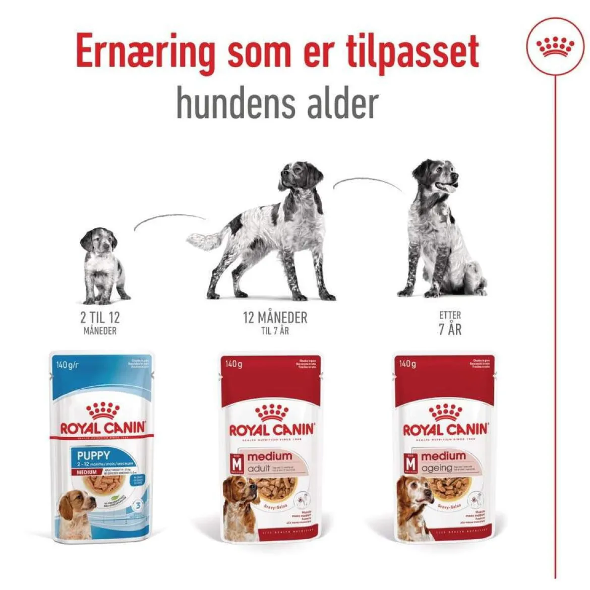 Royal Canin Medium Ageing 10+ Våtfoder (10x140g)