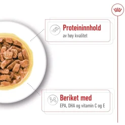 Royal Canin Medium Ageing 10+ Våtfoder (10x140g)