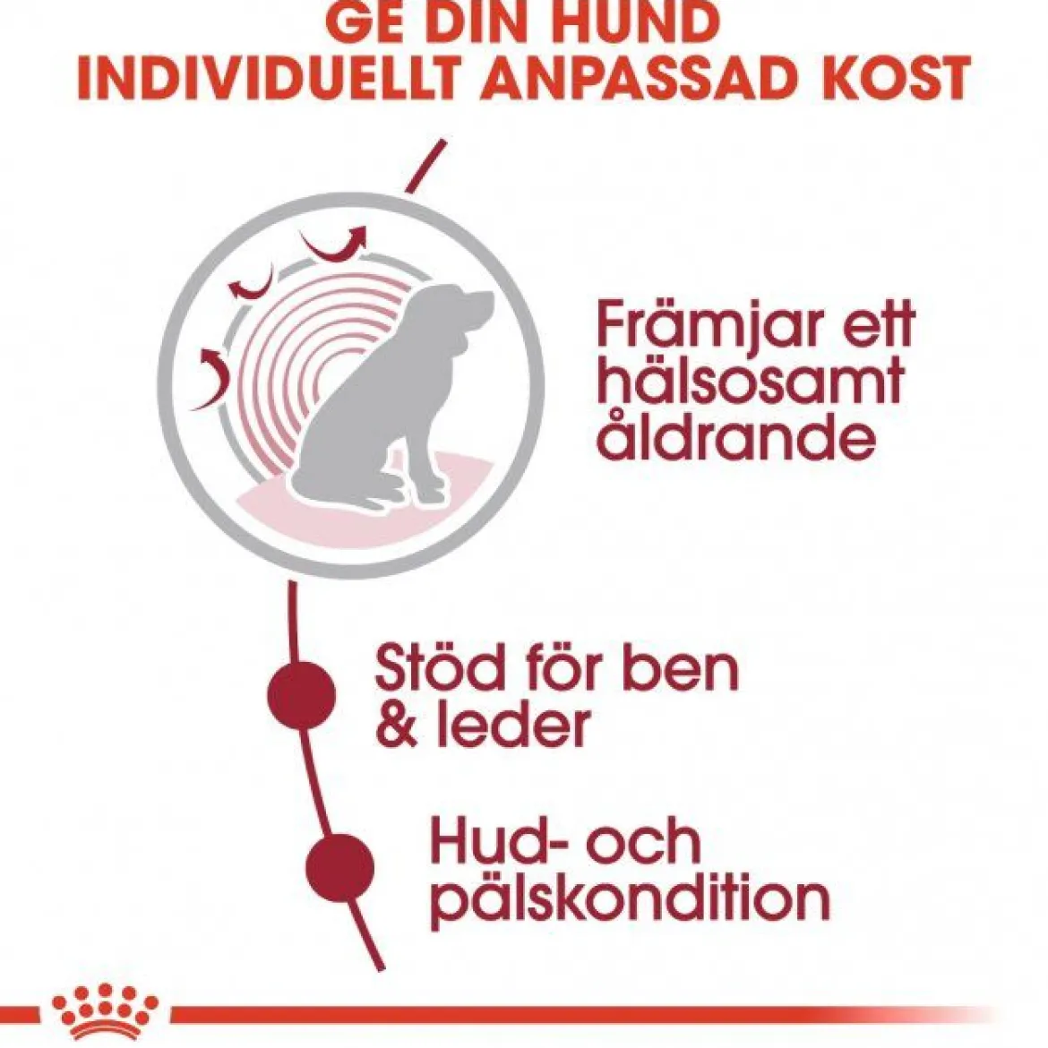 Royal Canin Medium Ageing 10+ Våtfoder (10x140g)
