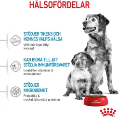 Royal Canin Medium Starter