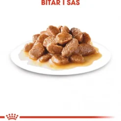 Royal Canin Mini Ageing 12+ Våtfoder (12x85g)