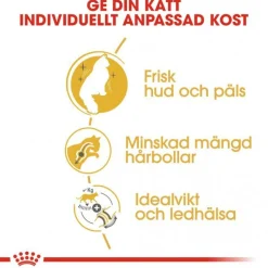 Royal Canin Norsk Skogkatt