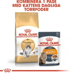 Royal Canin Norsk Skogkatt