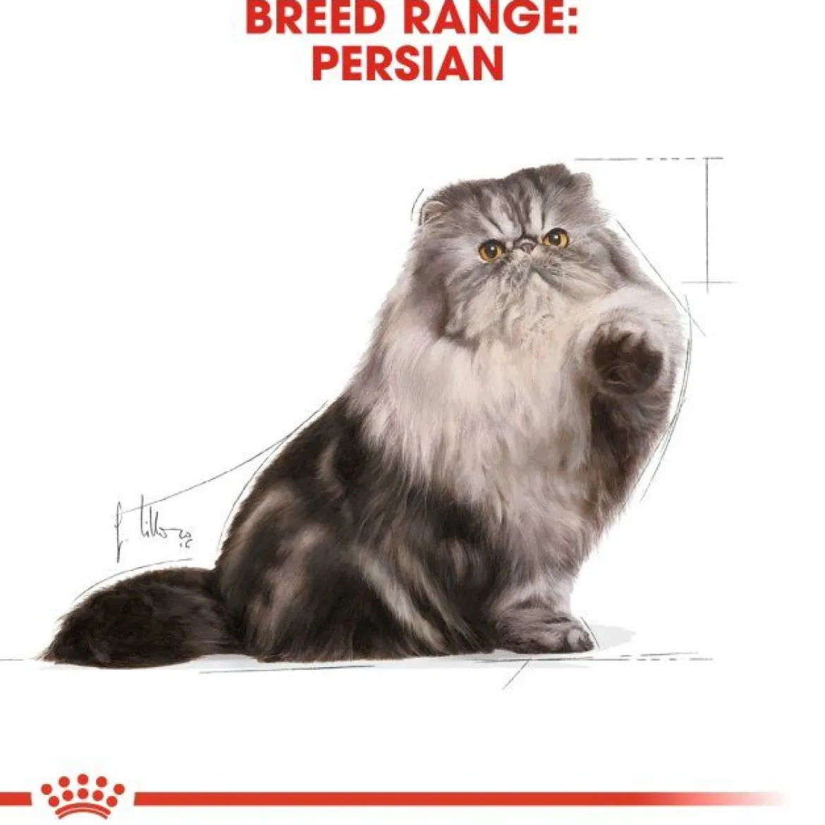 Royal Canin Persian Loaf 12 x 85 g