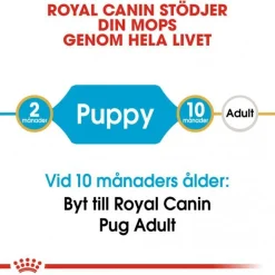 Royal Canin Pug Puppy