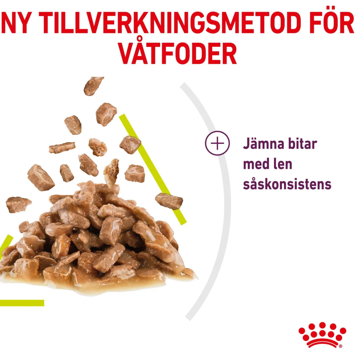 Royal Canin Sensory Smell 12x85 g
