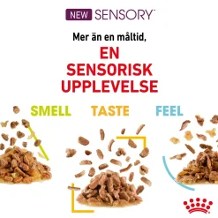 Royal Canin Sensory Taste 12x85 g