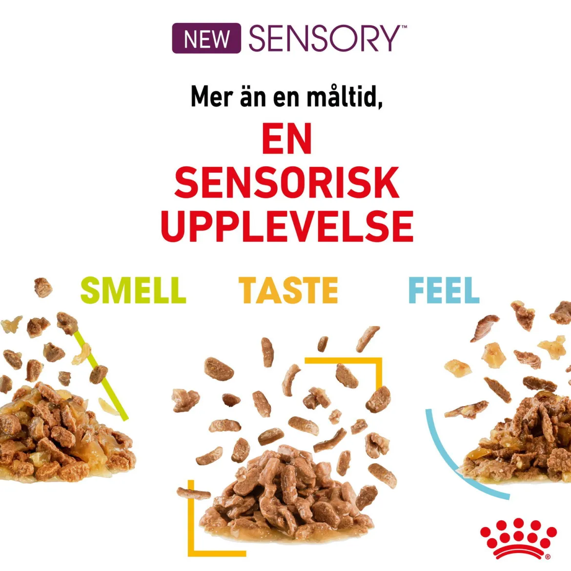Royal Canin Sensory Taste 12x85 g