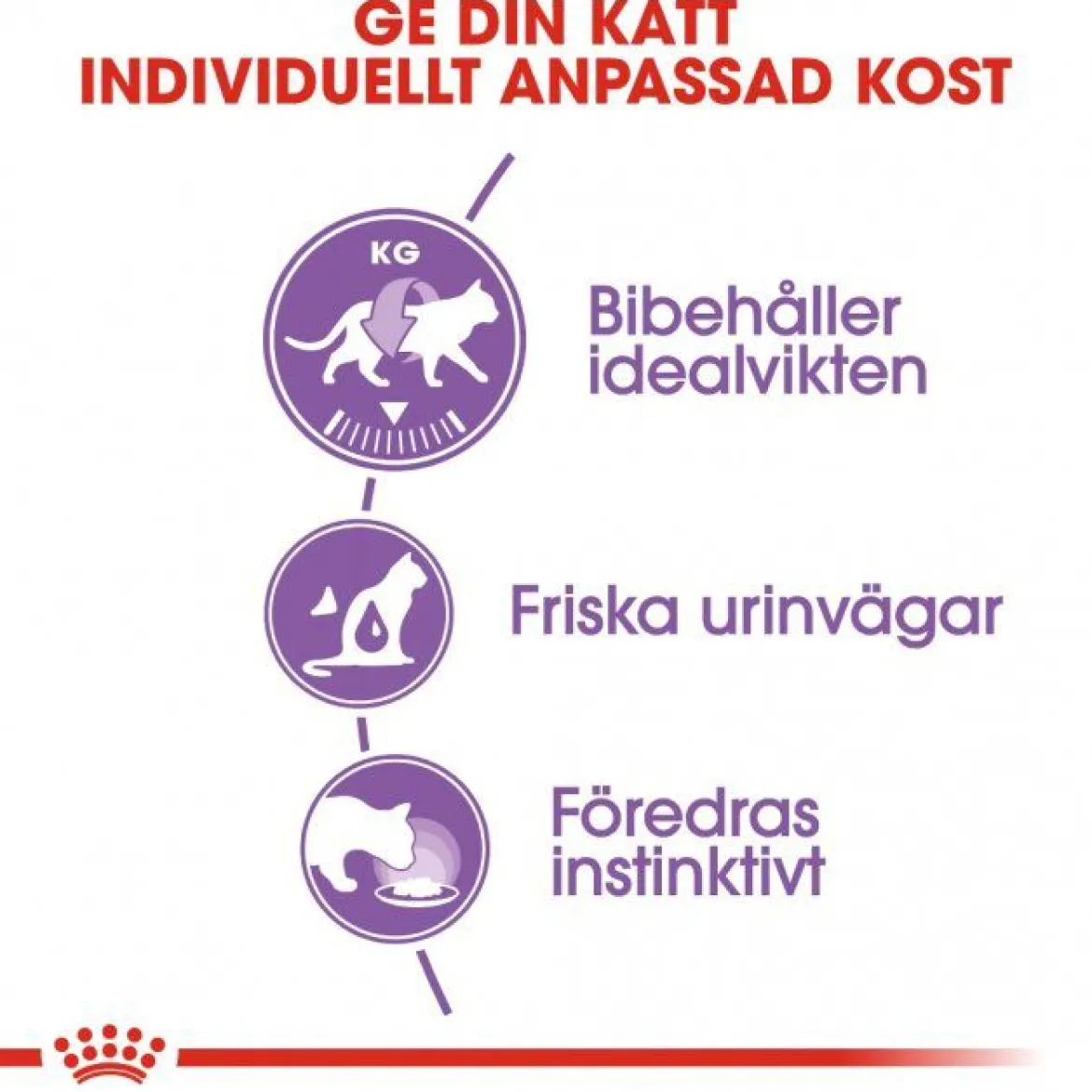 Royal Canin Sterilised Jelly Wet 12x85g