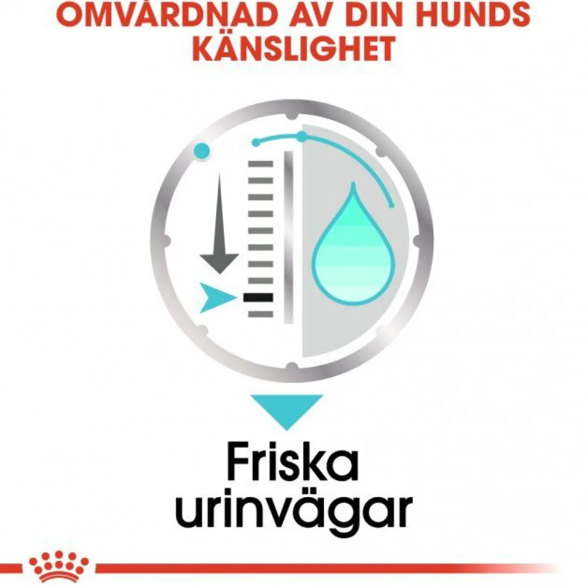 Royal Canin Urinary Care Adult 12x85 g
