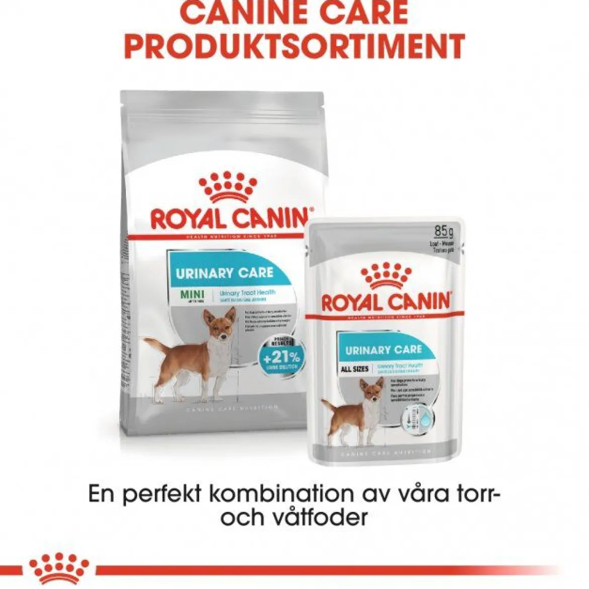 Royal Canin Urinary Care Adult 12x85 g
