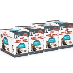 Royal Canin Urinary Care Gravy 85g, 48-pack