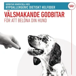 Royal Canin Veterinary Diets Dog Hypoallergenic Hundgodis 230 g