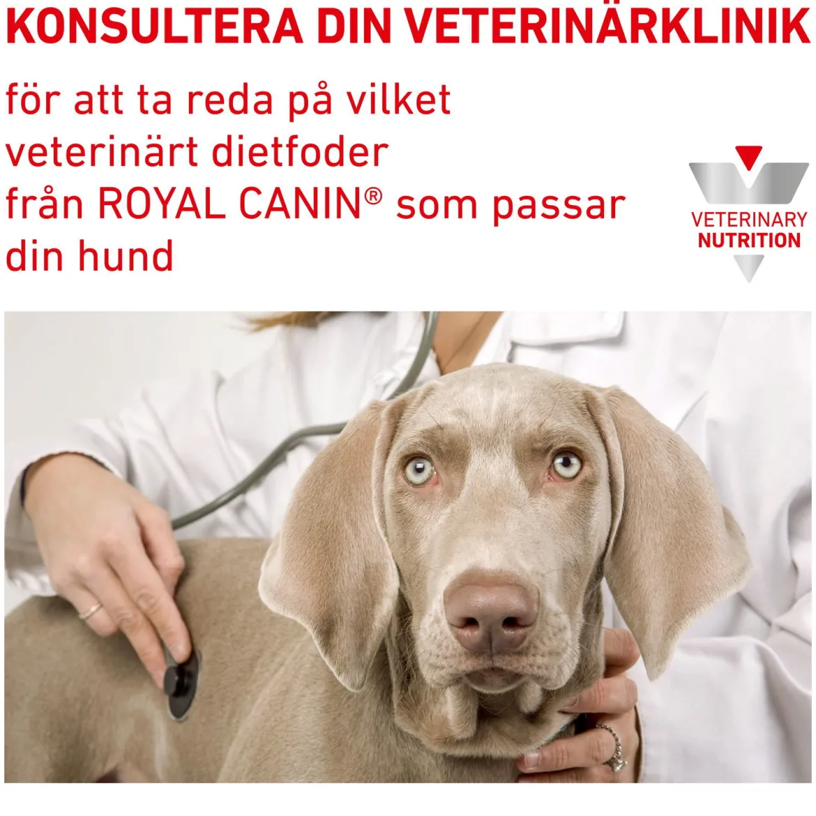 Royal Canin Veterinary Diets Dog Urinary S/O Ageing +7 12x100 g