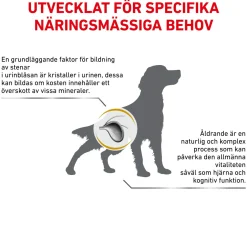 Royal Canin Veterinary Diets Dog Urinary S/O Ageing +7 12x100 g