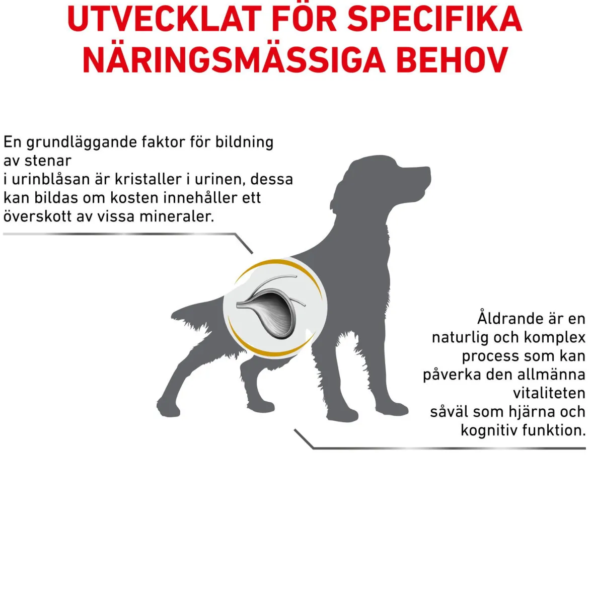 Royal Canin Veterinary Diets Dog Urinary S/O Ageing +7 12x100 g