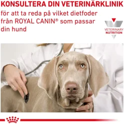 Royal Canin Veterinary Diets Dog Gastrointestinal Puppy 12 x 195 g