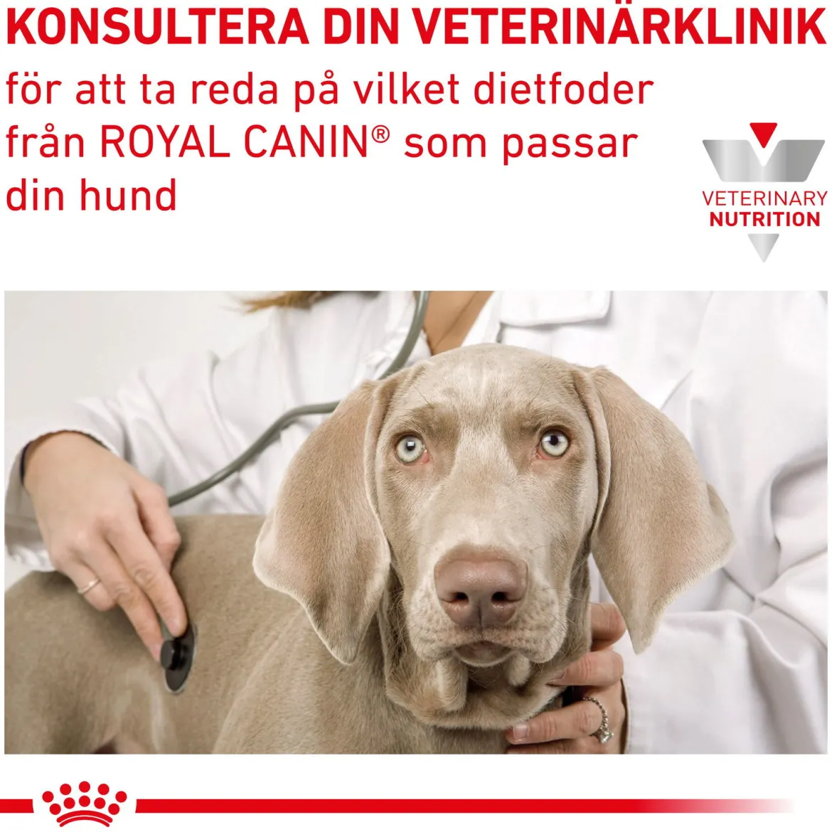 Royal Canin Veterinary Diets Dog Gastrointestinal Puppy 12 x 195 g