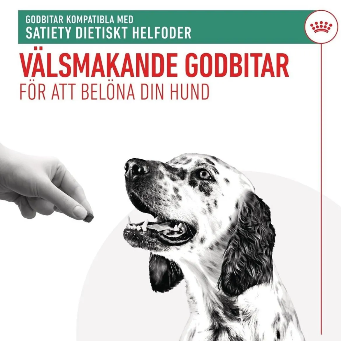 Royal Canin Veterinary Diets Dog Satiety Hundgodis 230 g